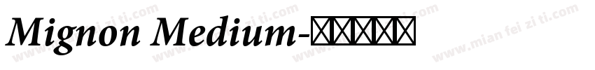 Mignon Medium字体转换